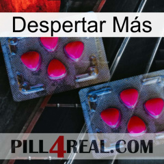 Despertar Más 14